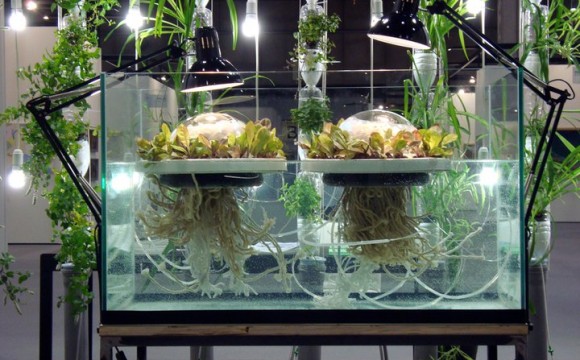 Milano Green Festival: una città più attenta e sostenibile