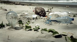 Message in a bottle