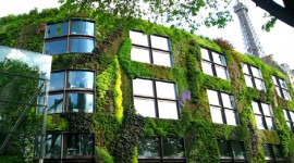 L’animo eco del Guerilla Marketing, in arrivo nuove forme di pubblicità