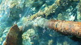 Ancorati alla sostenibilità…