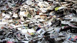 GreeNote, un regalo originale…ed ecosostenibile