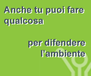 green_amb-banner-350x250