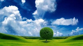 Agroenergie, in che direzione stiamo andando?