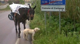 Dalla Sicilia al Lazio per rispettare l’ambiente!