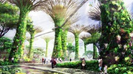 Bosco Artificiale a energia solare a Singapore