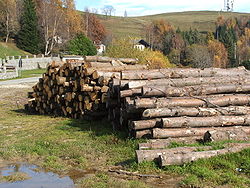 Ri-Legno, diamo una nuova vita anche al legno!