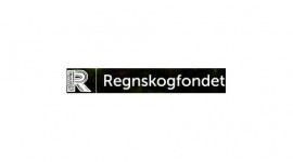 Rainforest Foundation Norway, obiettivo “rispetto delle foreste” raggiunto!