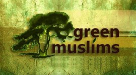 Riduci, ricicla…Ramadan!