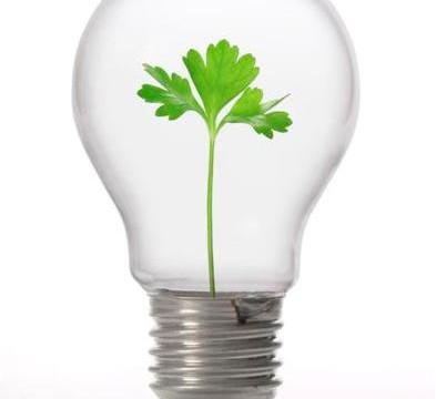 TERNIGREEN CRESCE NEL SETTORE CLEANTECH