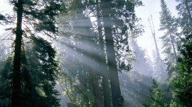 La Sicilia punta sulla degli eco-sistemi!