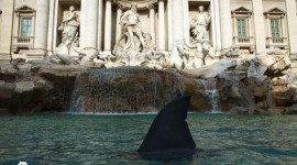 Uno squalo nella Fontana di Trevi
