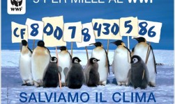 WWF:Tutti a bordo! Appello per la pesca sostenibile