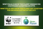 Con il kit Profumi & Sapori il balcone diventa eco e colorato