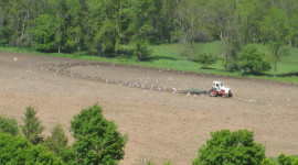Protezione Civile: siglato con CONAF protocollo per previsione rischi naturali