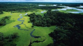 WWF: Non ‘mangiamoci’ l’Amazzonia