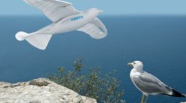 Smartbird, il gabbiano robot che svela i segreti dell’efficienza energetica