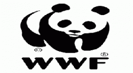 Il WWF calcola quanta Co2 produciamo nei nostri uffici