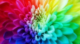 Perchè stampiamo a colori?