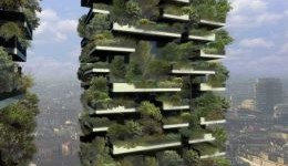 Milano sempre più verde, in arrivo il Bosco Verticale