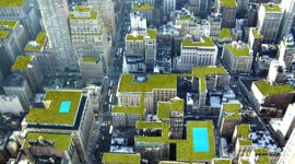 Giardini “nel cielo”, ecco la nuova tendenza green delle nostre città