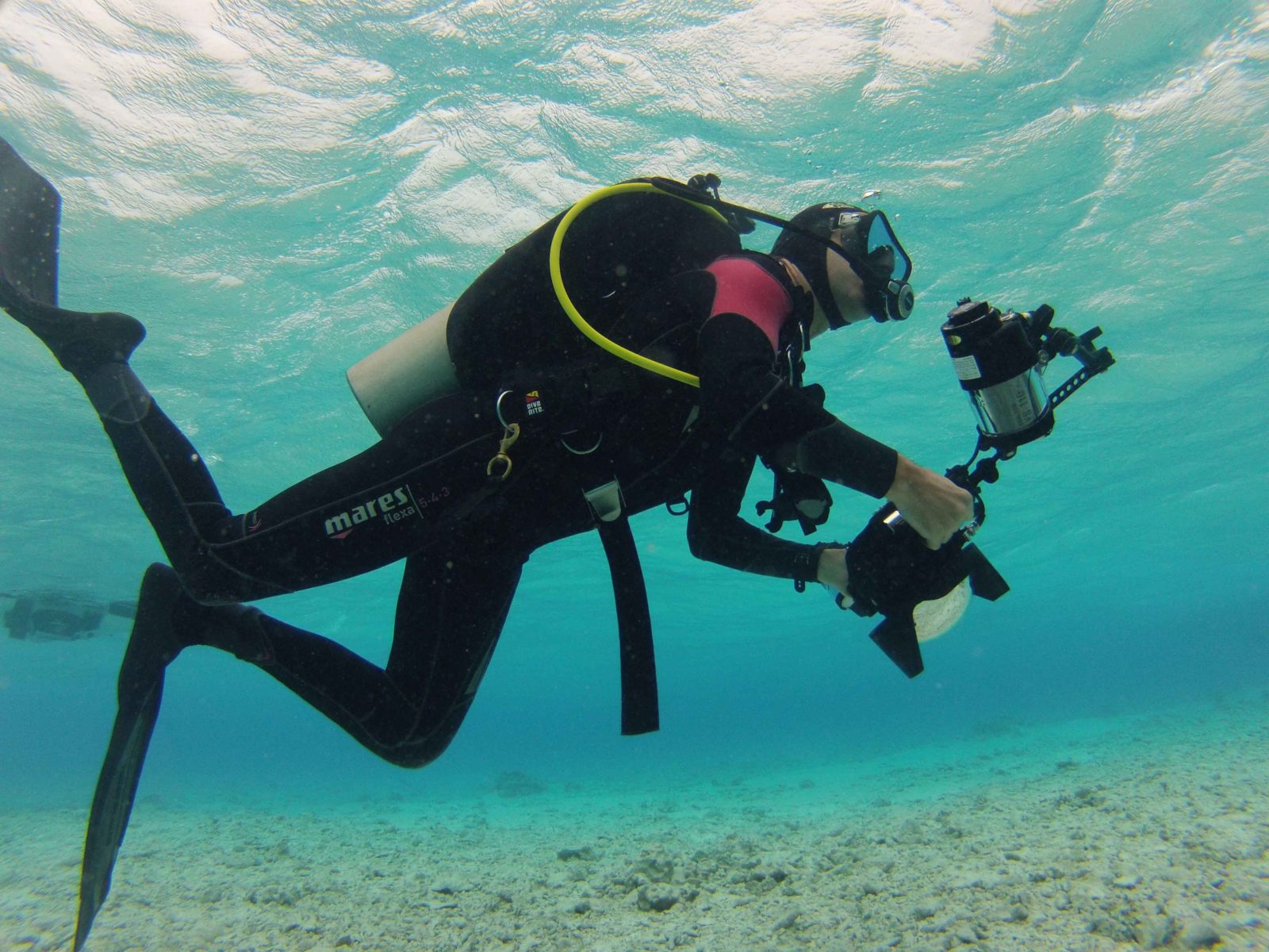 Coty Inc. protegge gli oceani con National Geographic