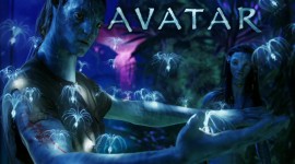 Avatar sceglie il sole per i suoi sequel!