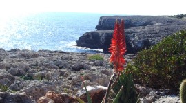 Scoprire Maiorca, gioiello delle isole Baleari