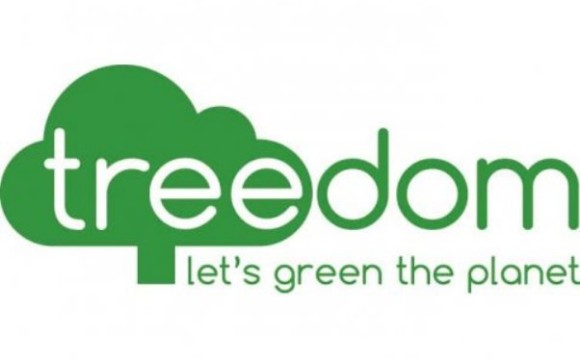 100.000 alberi per la terra: ecco la nuova iniziativa di Treedom