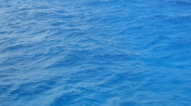 “Salviamo le coste italiane”, l’iniziativa di Legambiente per tutelare i nostri mari