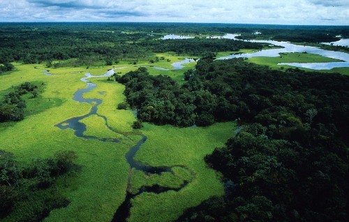 WWF: Non ‘mangiamoci’ l’Amazzonia