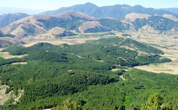 La boscosa Toscana con l’Accademia Italiana di Scienze Forestali ad Expo per parlare di green economy